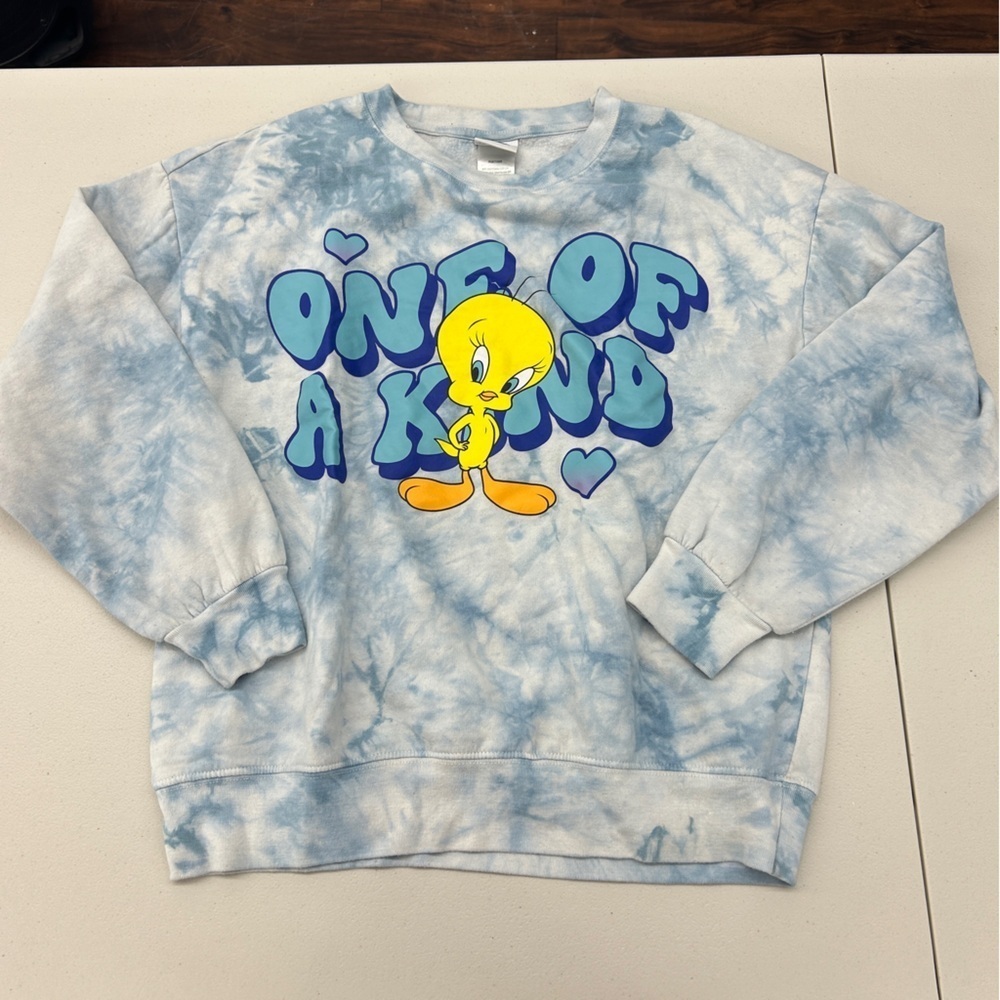 Warner Bros Blue and Yellow tweety bird Sweatshirt size L